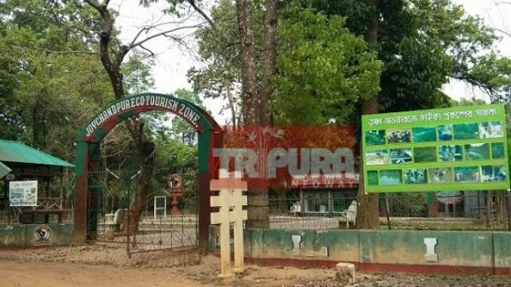 Tourist visitors high in Trishna Butterfly Park Eco-tourism Zone : Destruction of forest acting as a threat there
